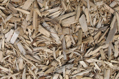 biomass boilers Whitestaunton